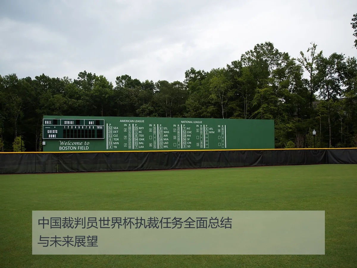 中国裁判员世界杯执裁任务全面总结与未来展望
