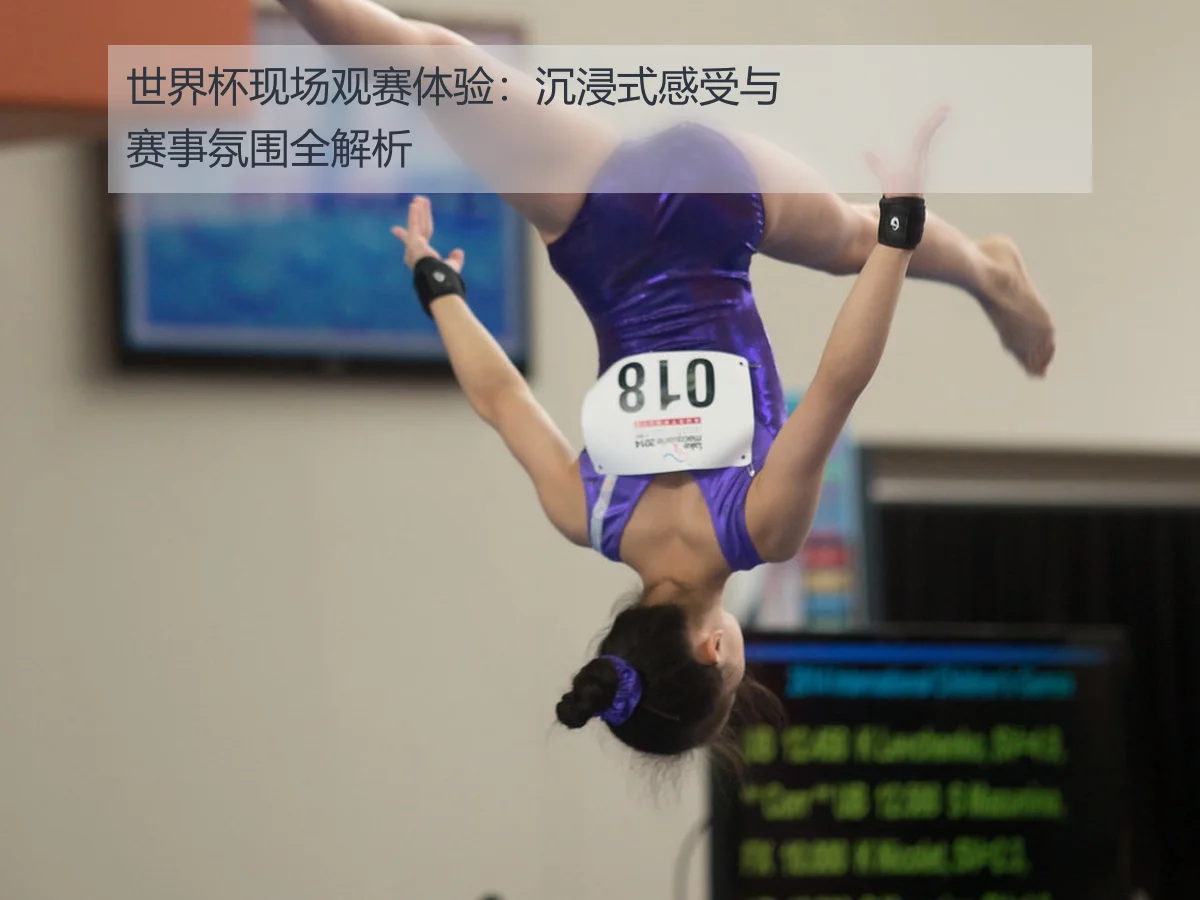 世界杯现场观赛体验：沉浸式感受与赛事氛围全解析